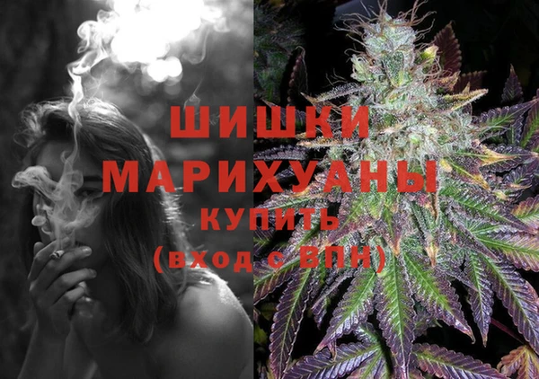 дмт Белокуриха