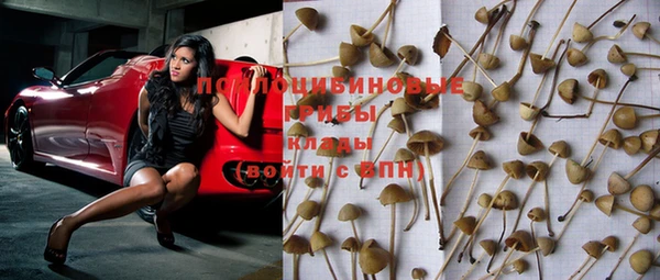 ешки Белоозёрский