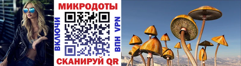Галлюциногенные грибы Cubensis  Киселёвск 