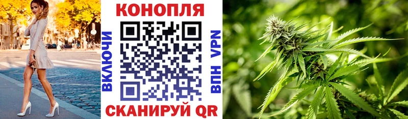 Бошки Шишки конопля  купить наркотики цена  Киселёвск 